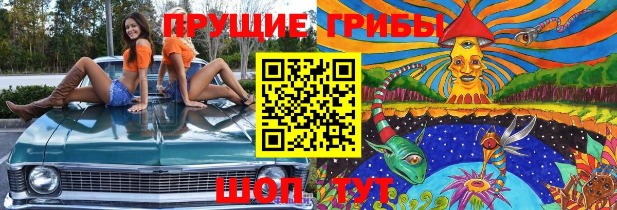 Сегежа  Псилоцибиновые грибы MAGIC MUSHROOMS  Псилоцибиновые грибы Psilocybine cubensis  Вход с VPN 