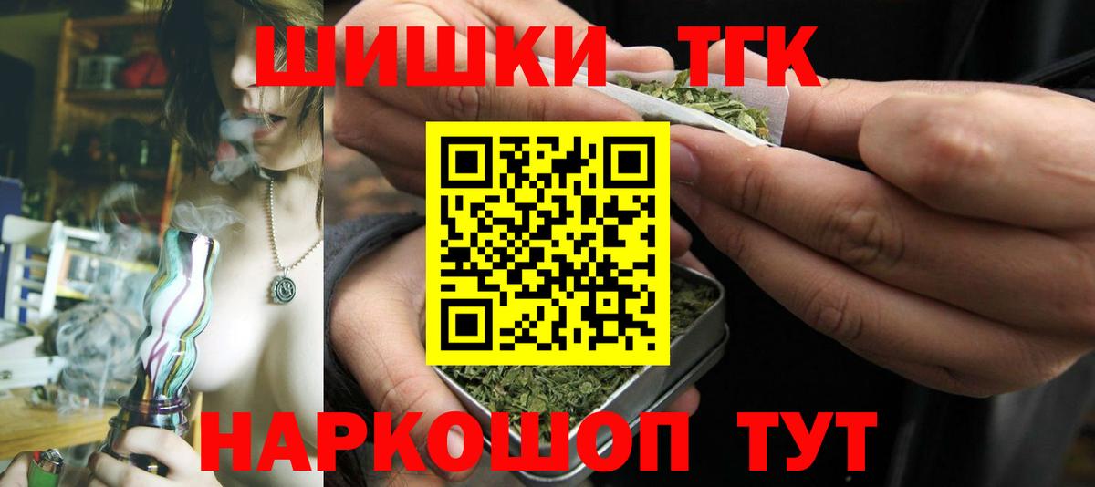 Сегежа  Каннабис планчик  Каннабис план  Каннабис OG Kush  Вход с VPN 